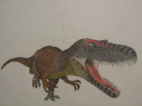 torvosaurus 2.JPG