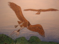 woodward's eagle 2.JPG
