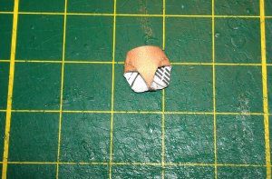 IMAG3977.jpg