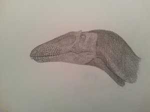 1404033105517.jpg