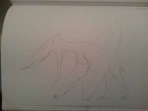 1404033493455.jpg