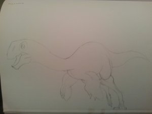 1404033649145.jpg