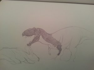 1404033725608.jpg