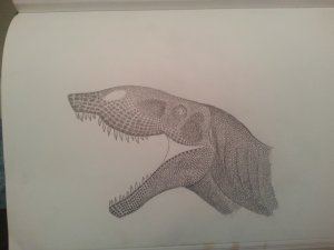 1404161520881.jpg