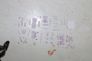 01.JPG
