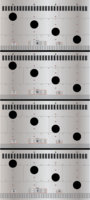 main body.jpg