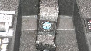 IMAG4381.jpg