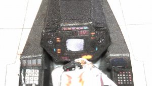 IMAG4435.jpg