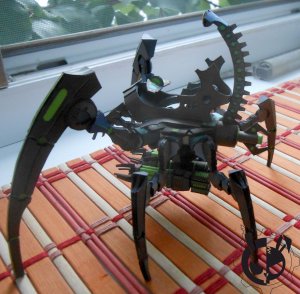DSCN0971.JPG