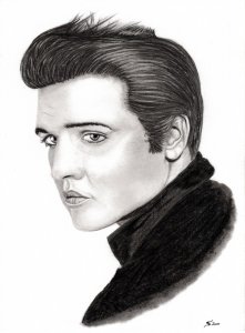 2011 ELVIS PRESLEY 2.jpg