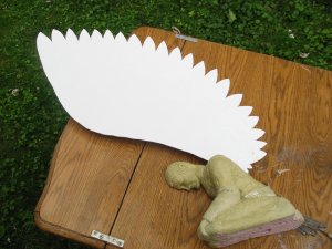 IMG_7747.jpg