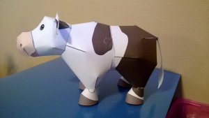 WP_20131228_002[1].jpg
