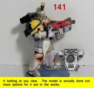 141.jpg