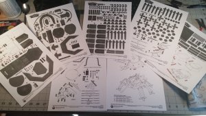 10685469_10152408613920754_4060074292748887219_n.jpg