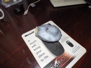 IMGP0707.JPG