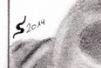 signature.JPG