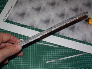 DSCF8171.jpg