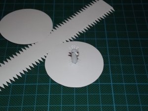 DSCF8363.jpg