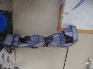 IMGP0817.JPG
