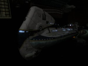 IMG_4419.JPG