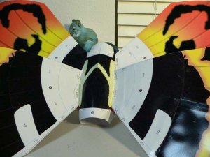 MOTHRA027.jpg