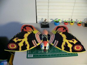 MOTHRA039.jpg