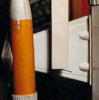WINGS_3.jpg
