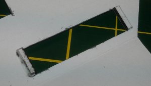 IMAG5162.jpg