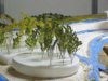 homemadetrees.jpg
