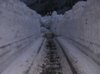 dscn0132.jpg