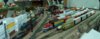 yard area2228.jpg