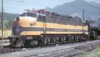 gn5011.jpg