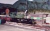 yard1.jpg