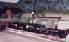 yard2.jpg