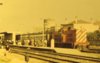 loc 1300d-pinhal novosmall.jpg
