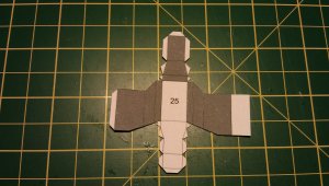 IMAG5203.jpg