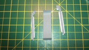 IMAG5244.jpg