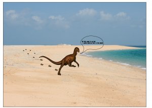 Hot Beach.jpg