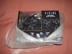 DSCF8614.jpg