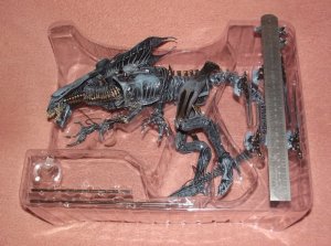 DSCF8642.jpg