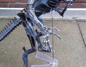 DSCF8657.jpg