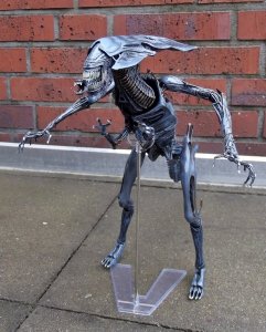 DSCF8653.jpg