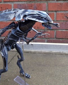 DSCF8654.jpg