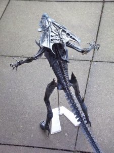 DSCF8662.jpg