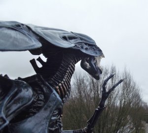 DSCF8675.jpg