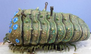 nausicaa (19).JPG