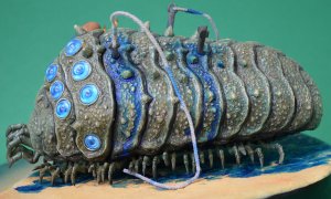 nausicaa (48).jpg