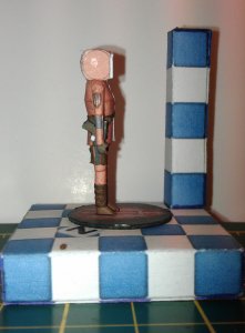 IMAG5385.jpg
