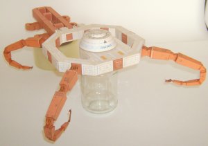 DSCI0318.jpg