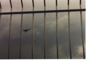 X-28-Flughafen-Stuttgart-Concorde_50p.jpg
